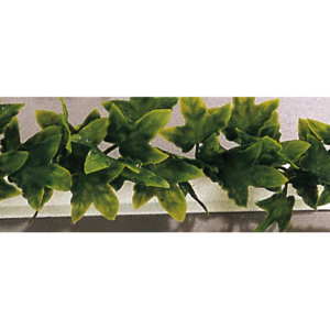 Barrette Lierre 250 mm (Boîte de 12)