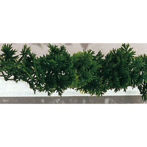 Barrette Persil 250 mm (Boîte de 12)