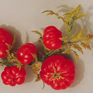 Guirlande Tomate - 2000 mm