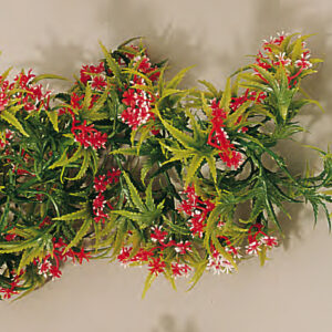 Guirlande fleurs de la Passion - 2700 mm