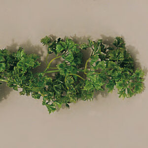 Guirlande Persil - 2700 mm