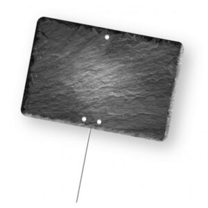 Etiquette : Schiste neutre - 10x15 cm (pique inox)