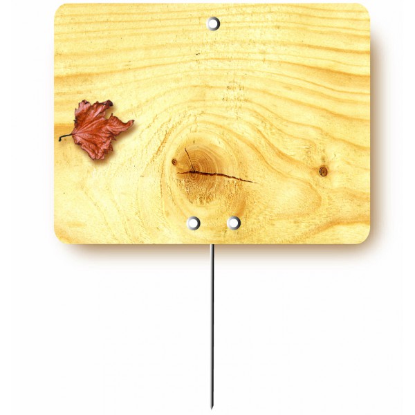 Etiquette : Planchette neutre - 7x10 cm (pique inox) 1 Etiquette : Planchette neutre - 7x10 cm (pique inox)