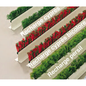 Recharge Cyprès vert & rouge pour séparateur - 250 mm