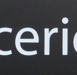 Prיsentoir noir (Les Impeccables) - 900x240x1900 mm