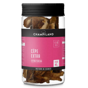 Cèpes extra séchés - Tubo 40 g (Champiland)