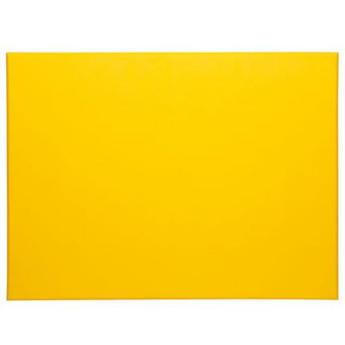 Planche poly HACCP épaisseur 15 mm HD 500 au m² - Jaune 1 Planche poly HACCP épaisseur 15 mm HD 500 au m² - Jaune